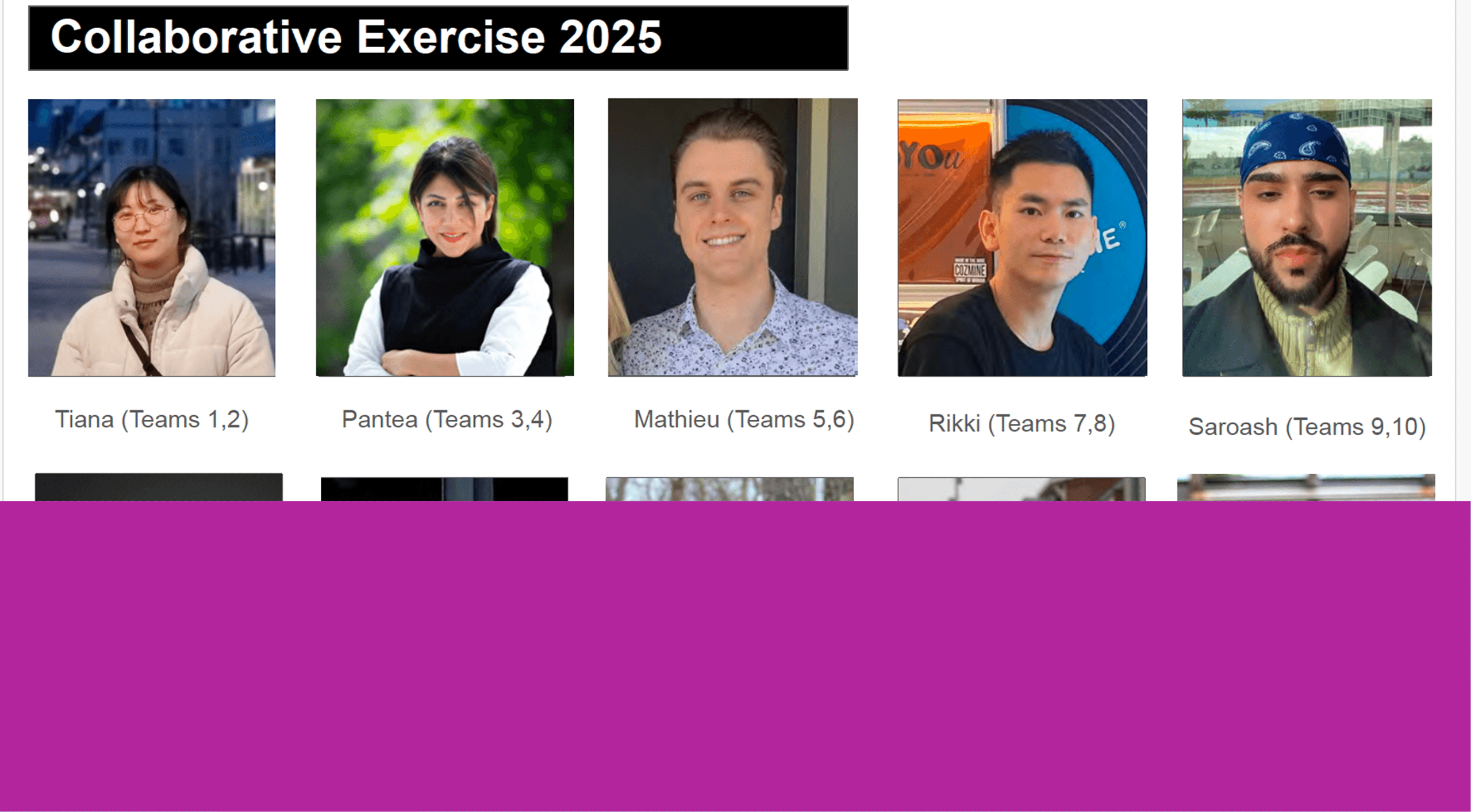 Présentation illustrée (PDF) par Terri Peters, du site de recherche Toronto Metropolitan University